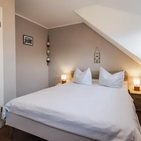 Haus Herzmuschel - B65900
