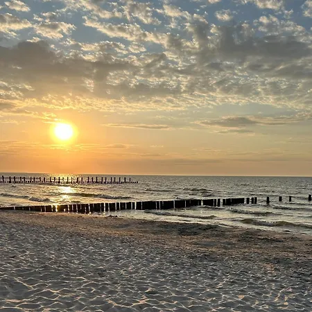 Semesterbostad Haus Herzmuschel - B65900 Zingst